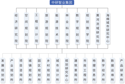 经济信息咨询业务“钻石型”组织架构效率如何判断——涵盖市场竞争力数据驱动策略与研究分析评估